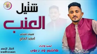 الفنان هاشم ود ربوب || شتيل العنب || 2026 #تسجيلات_الغزال_الاسمر_ودحسان 