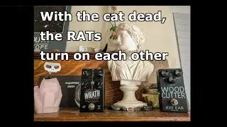 RAT Battle! Big Ear NYC Wood Cutter vs. Foxpedal Wrath V2