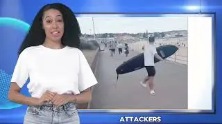 Bondi Beach Incident: HeroicBystander Action Highlights Power of Civic Courage and Public Safety.