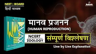 Human Reproduction (मानव जनन )| NCERT Biology Line by Line Explanation in Hindi #neet2026 #zoology  