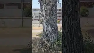 Haunted hospital in Fresno ca