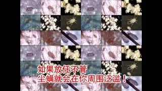 NinjaROBO中國短片1