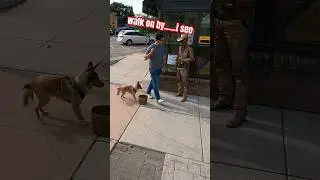 🚶&zwj;♂️ on by #livingstatue #prank  #bronzecowboy #livstatmt #funny
