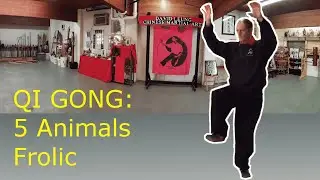 5 Animal Frolic