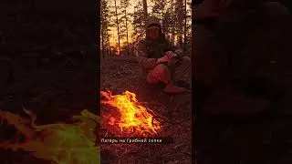 Зерендинские леса - Австрийская стена