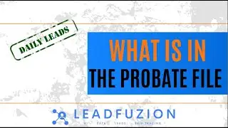 Unlock the Value of DAILY Probate Data | LeadFuzion's Probate Data&nbsp;File&nbsp;Reviewed