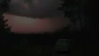 Inside a Small Van in the Forest | Relaxing Thunder Sounds | Peaceful Sleep Ambience