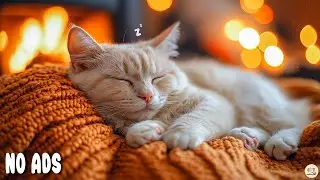 10 Часов Расслабляющего Пианино для Кошек 😺 Спокойное Пианино для Тревожных Кошек💖No Ads