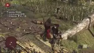 Assassin's Creed 4 Freedom Cry DLC - Plantation Liberation - Lagon Nord