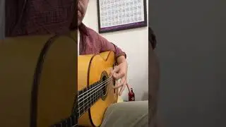 Rasgeados #guitar #fingerstyleguitar #flamencoguitarist #guitarstyle