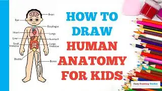 How to Draw Human Anatomy for Kids: Easy Step by Step Drawing Tutorial for Beginners