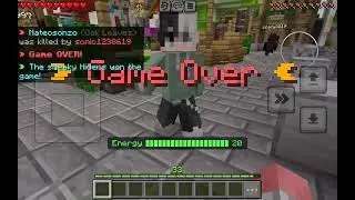 Minecraft  friend