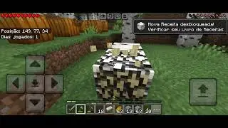 Criei uma série de manicrft 