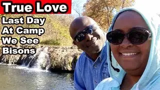 True Love | We see Bison | Last Fall Camp Day Colors | Camp Breakdown