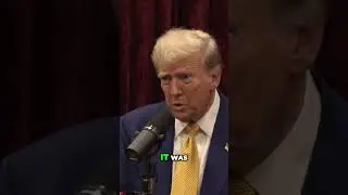 Unexpected Allies: A Presidential Journey Through Surreal Events