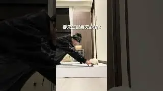 養天竺鼠每天必須 #天竺鼠 #日常