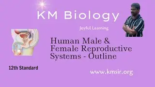 KM Biology - Human Male & Female Reproductive Systems and their parts #kmsir #kmbiology #12th #neet
