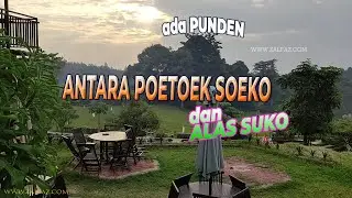 rainbow garden di poetoek soeko dan ALAS SUKO antaranya PUNDEN  indah ketika senja camping dan cafe