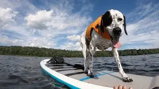 Paddleboarding on the Bantam River with Scully