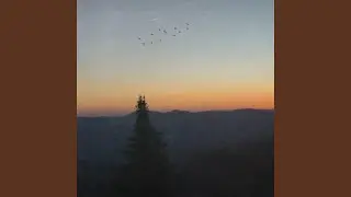 Fall Asleep