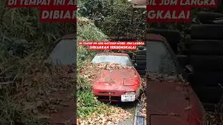 RATUSAN JDM LANGKA DI TINGGALKAN BEGITU SAJA OLEH PEMILIKNYA
