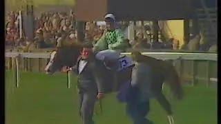 1984 Champion Stakes Palace Music + Replay & Enclosure
