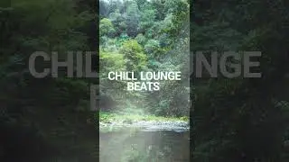 Chill Lounge Beats 🎶 #ambientsounds #relaxingmusic #chilloutsounds