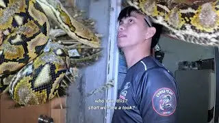 SAWA SA KISAME PAHIRAPAN