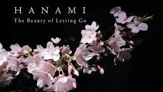 HANAMI : The Beauty of Letting Go