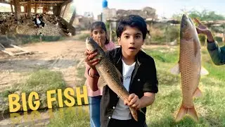 Pehly Dafa Itni Bari Machhli Dekhy😱|| Farm Mein Aisi Machhli Dekhi Pehli Dafa🥶