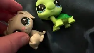 LPS Christmas carnival LPS Christmas special 2025 ￼￼