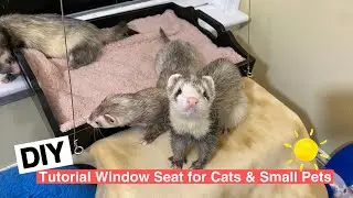 DIY Tutorial Window Seat for Cats &  Small Pets