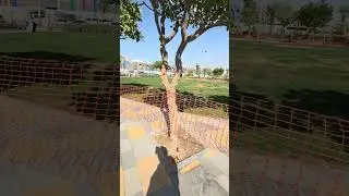 Al Surour Park Abu Dhabi Part 2🌳 | અલ સુરુર પાર્ક અબુ ધાબી #abudhabilife #travel #alsurourpark