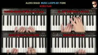 ALEKS SHAGI 2024 1022 Music Loops 01 Funk