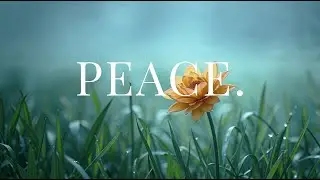 PEACE - Healing Music for Sleep, Meditation, Zen & Deep Rest | Drifts.