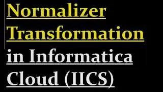 How to use Normalizer transformation in IICS | 20