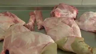 The Shocking truth about Ractopamine in US pork
