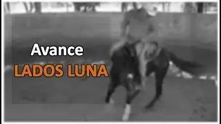 Arrendando Caballos v25 LUNA - Lados Avance