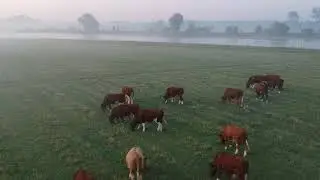 Dji Spark Deventer Riverside