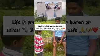Watch End 🥲,useful follow it #publicawareness #shorts #roadaccdient #reels
