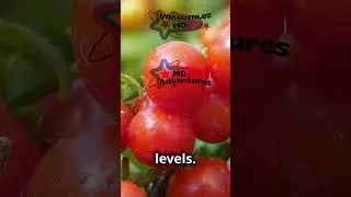 Eating Tomatoes Avoids Heart Disease #healthbenefits #tomatoes