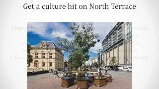 The Top 10 Things to do and See in Adelaide