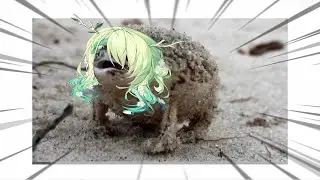 A sonorous warcry of a very angry Fauna