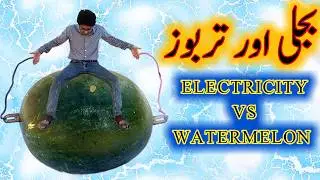 Tarboz k Faidy | Electricity VS Watermelon | Mr Everything Experiments #mreverythingexperiments