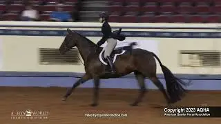 2023 Youth Working Hunter -- AQHYA World Championship Show