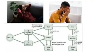 КАК ЭМОЦИОНАЛЬНЫЕ ПРОБЛЕМЫ ВЫЗЫВАЮТ ЖАР, МОЧЕВИНУ И ЗАСТОЙ КРОВИ