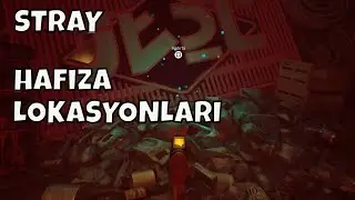 STRAY - Hafıza Lokasyonları (Hatırlıyorum Kupası)