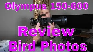 Olympus 150-600 Birding Impressions