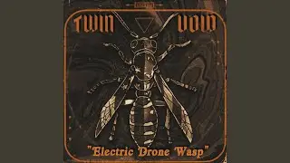 Electric Drone Wasp