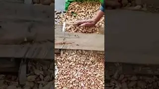 WOW mungfali chhilne ka Jugaad 🫣👌 #farming #kisan #viral #kisanstatus mungfali chilne ka asan tarika